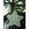 Recycled Wire Star Ornament