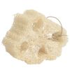 Mayan & Lufa Sponge
