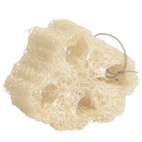 Mayan & Lufa Sponge (Quantity: Box of 36 Loofah Sponges)